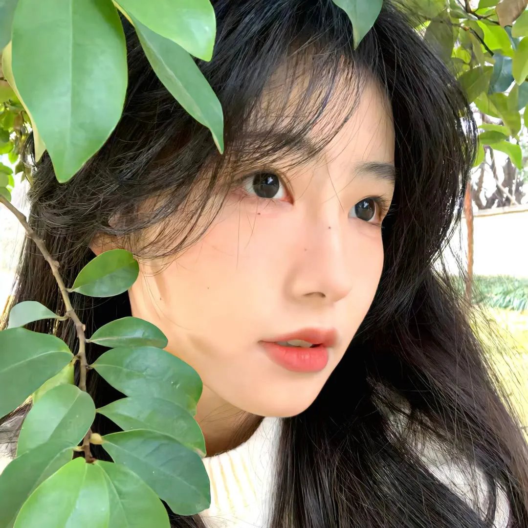 怪奇宝贝